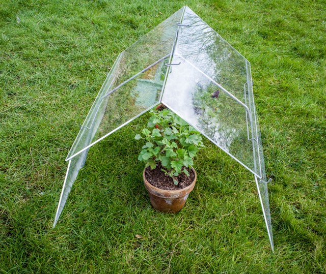 Barn Cloche Spiraclimb