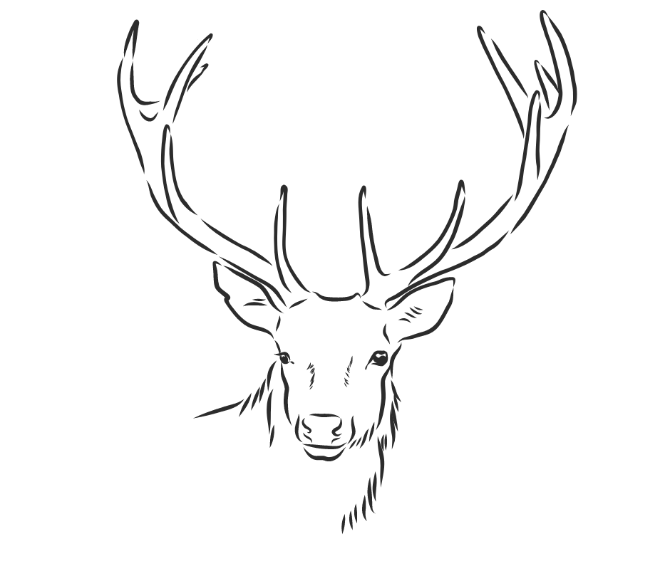 Yoakum Furs and Roots SPIRIT FM