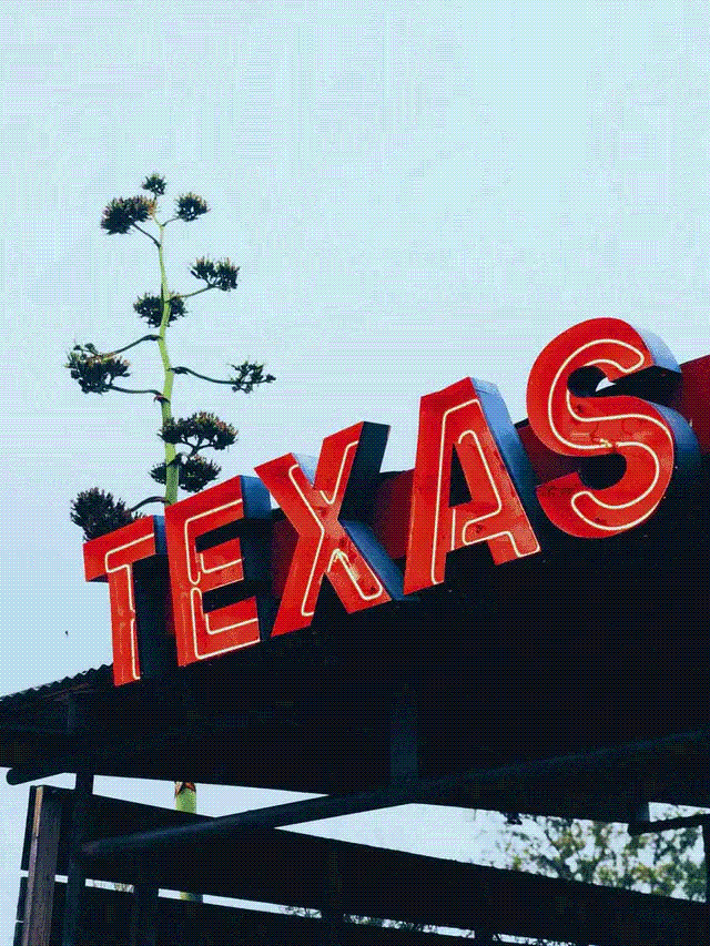 Les bars ont rouvert au Texas vendredi dernier, voici comment ils