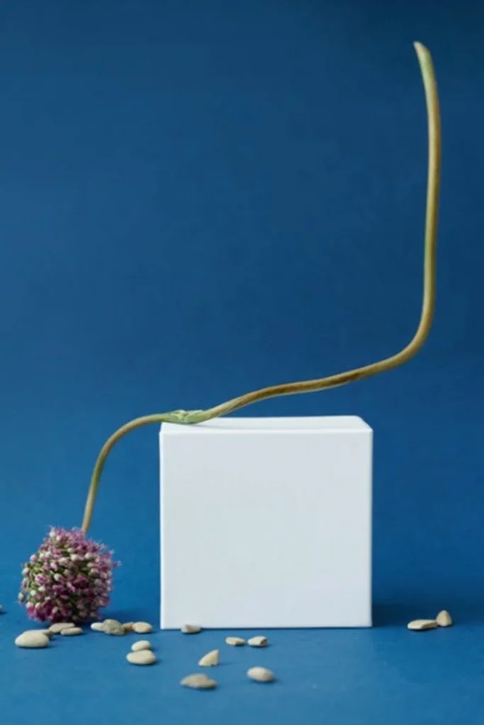 Symbolism of a Square and Spiritual Meaning Spiritual Posts