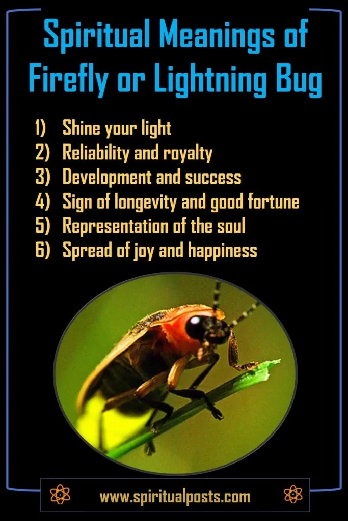 5 Spiritual Meanings of Firefly or Lightning Bug Spiritual Posts