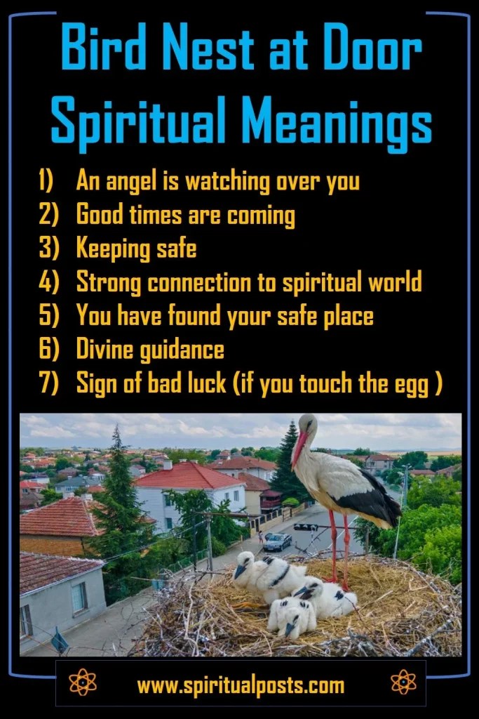 7 Spiritual Meanings of Bird Nest at Front Door of House Spiritual Posts