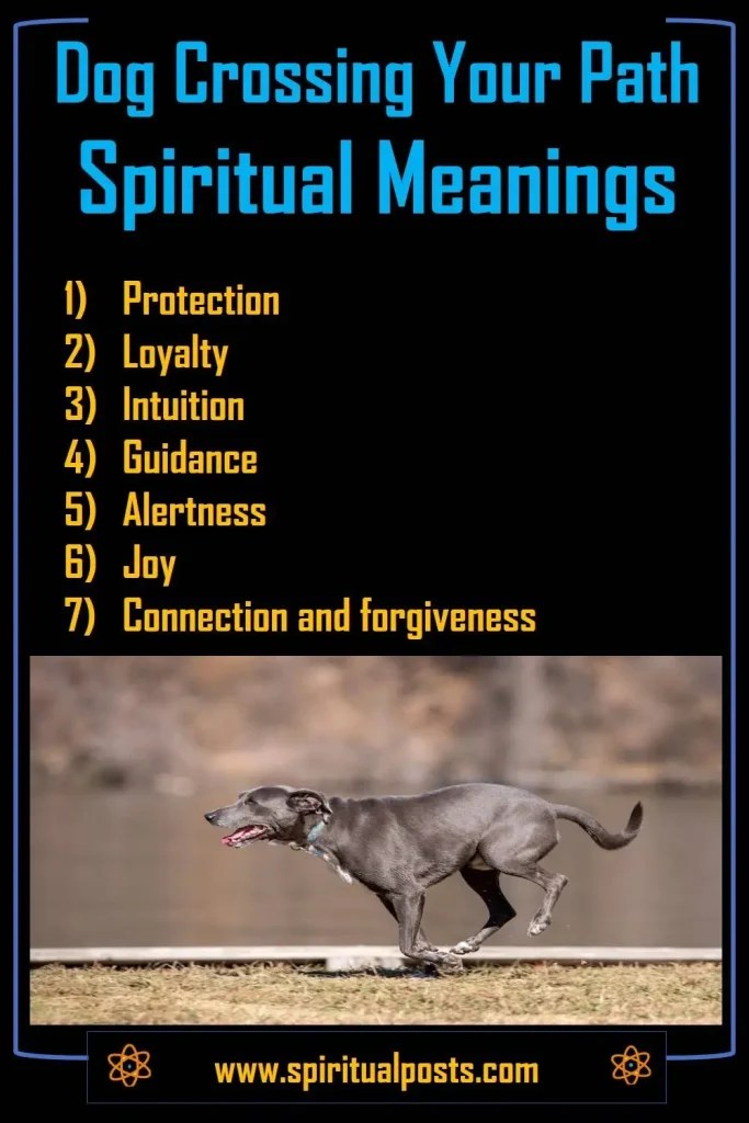 Spiritual Meaning of a Dog Crossing Your Path (Good Luck!) Spiritual