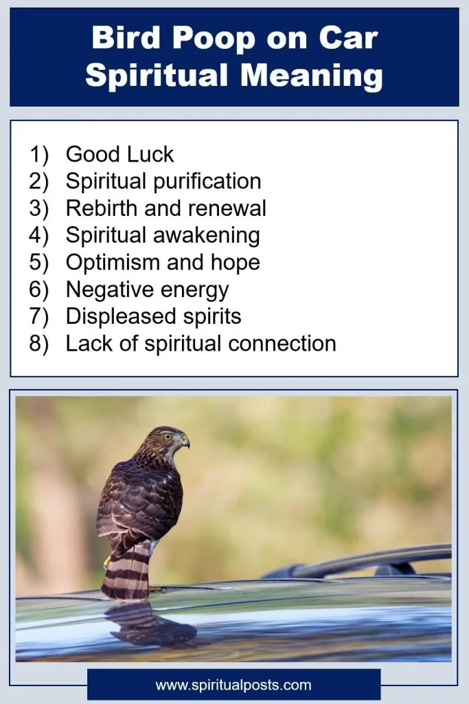 11 Spiritual Meanings of Bird Poop on Car [Good Luck?] Spiritual Posts