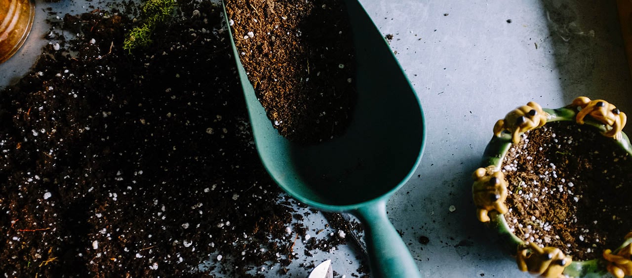 Nature Nights Spiro Landscapes