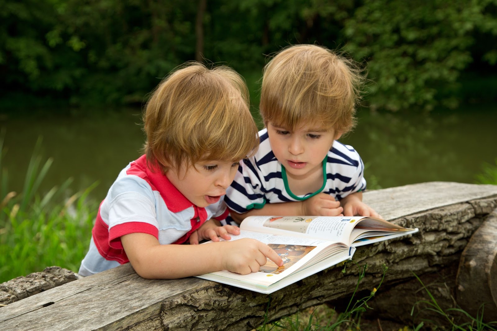 Mastering Kindergarten Reading Levels A Parent's Guide
