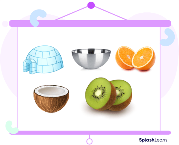Hemisphere Shape Definition, Formula, Properties, Examples