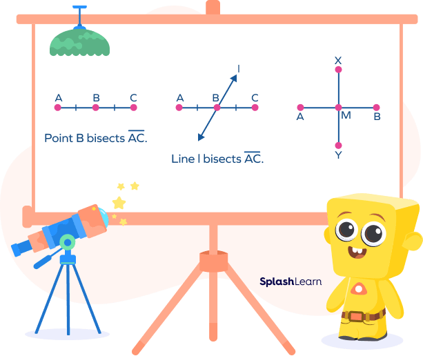 Segment Bisector Definition, Types, Examples, Facts, FAQs