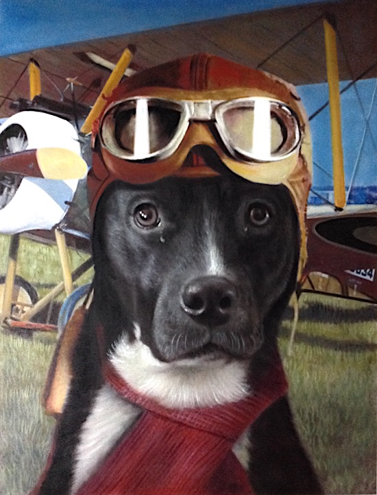 Pilot Dog & Pilot Cat Paintings of your Pet