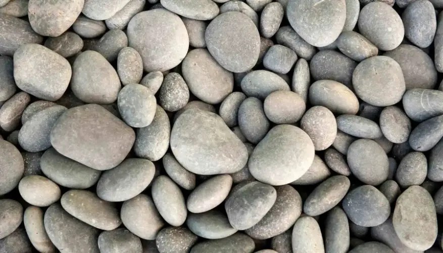 How to Remove Weeds from Rock Beds A Complete Guide (2024)