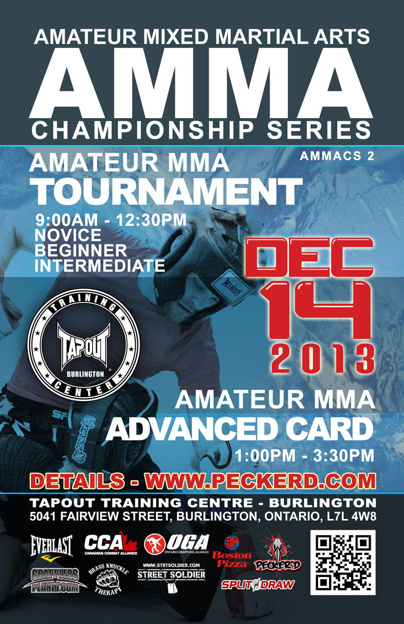 Mixed Martial Arts Mixed Martial Arts Levels