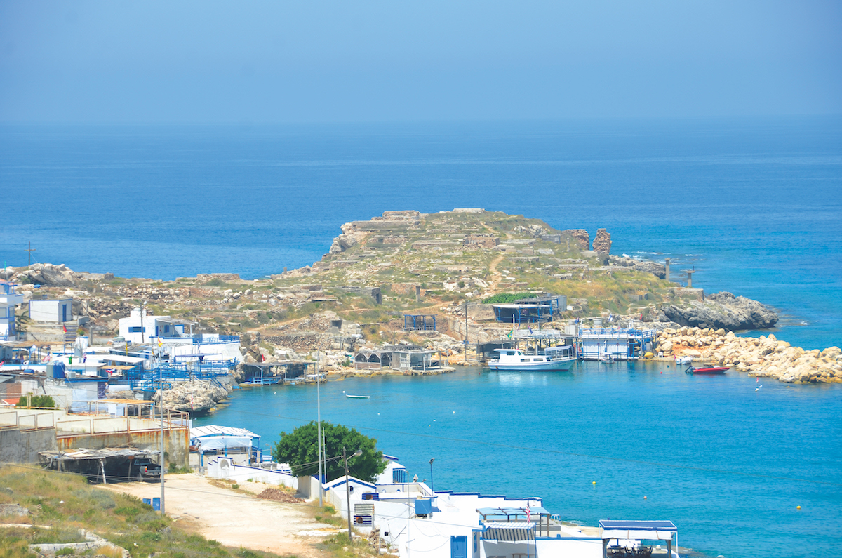 Hima Anfeh Society for the Protection of Nature in Lebanon