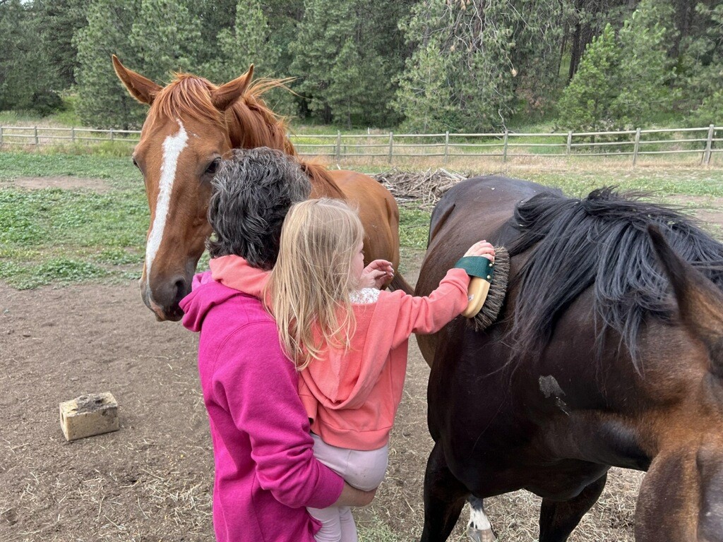 Shelly MonahanCain Articles