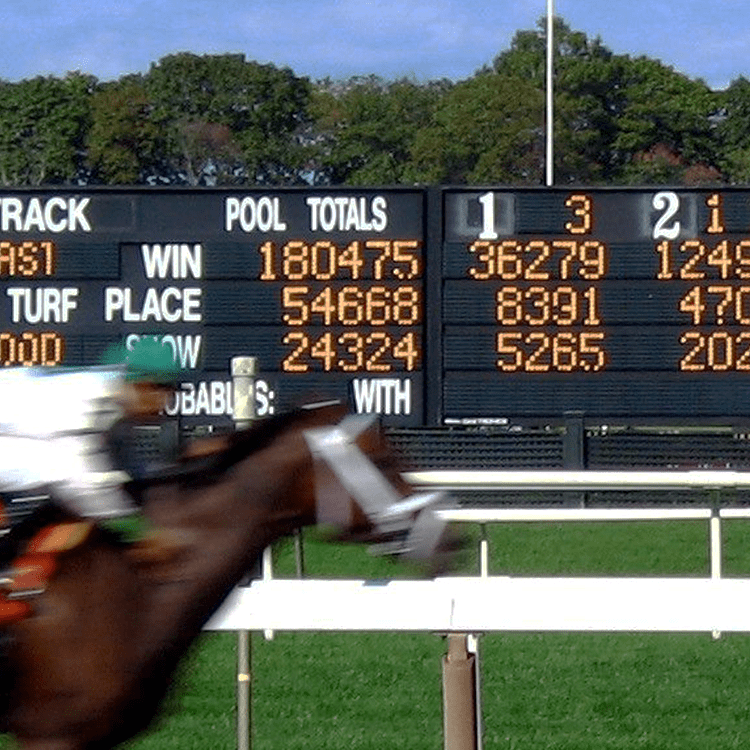 PariMutuel Software Quantum System Wagering Software Sportech