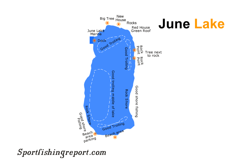 June Lake Fish Reports