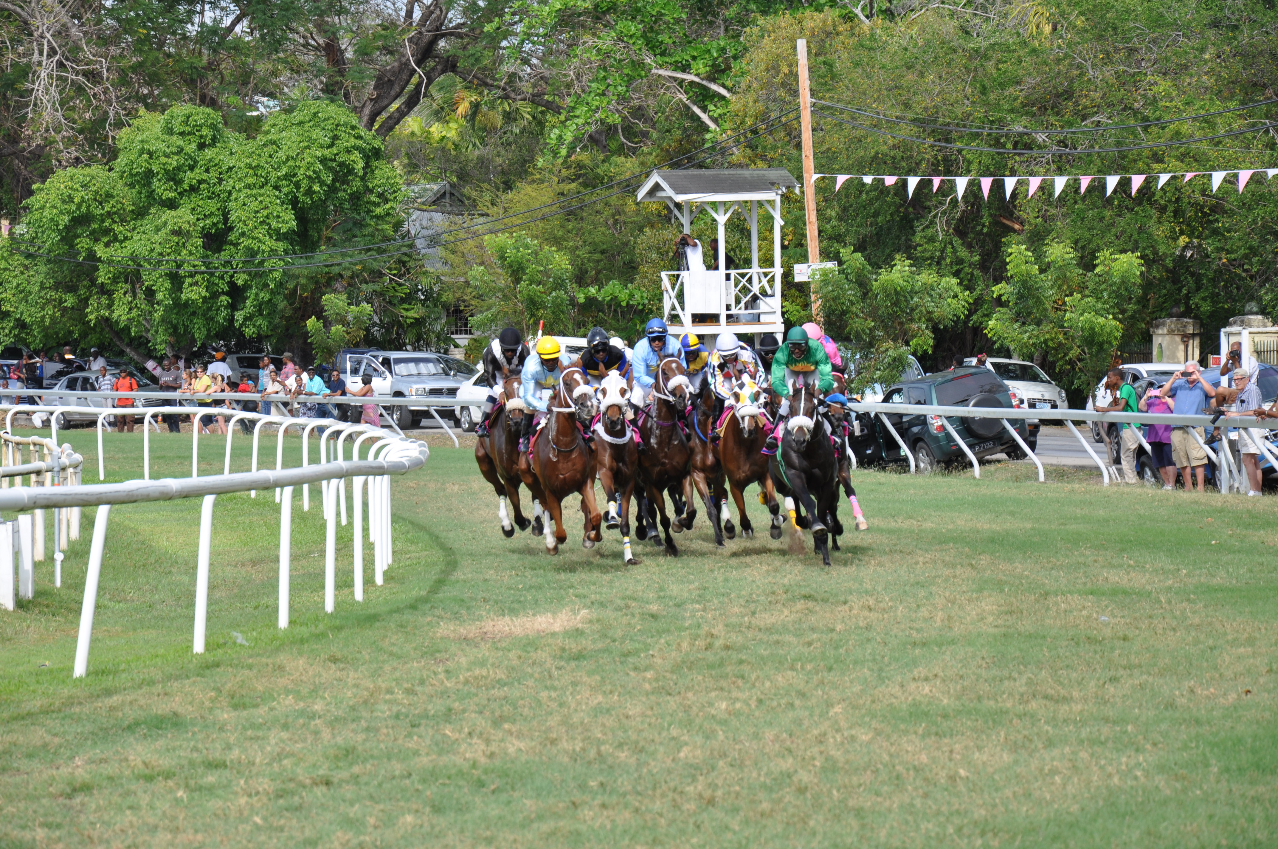 Epsom Horse Racing Results Yesterday Professional Horse Racing