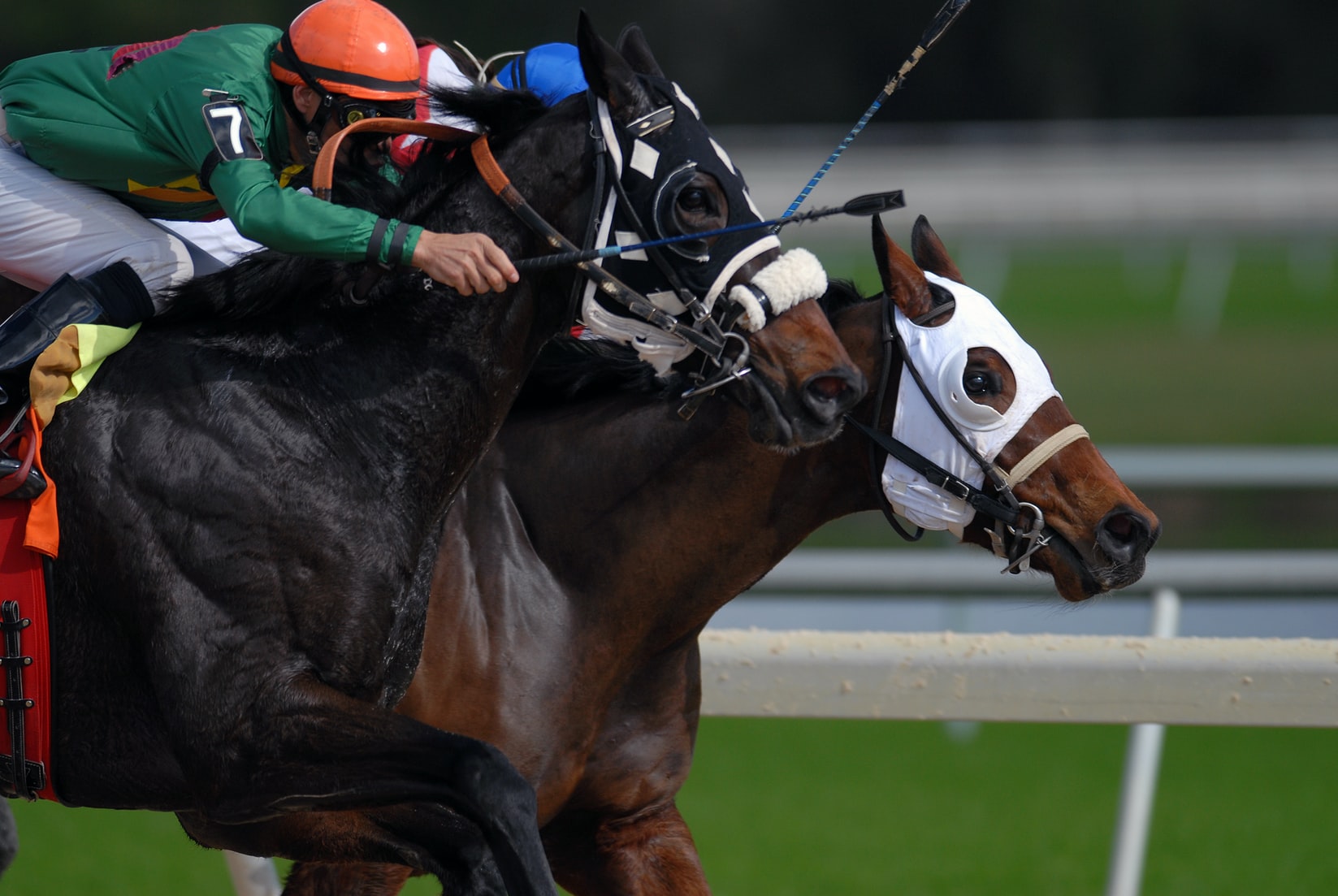 7 Different Kinds of Horse Races Explained Sporting Ferret