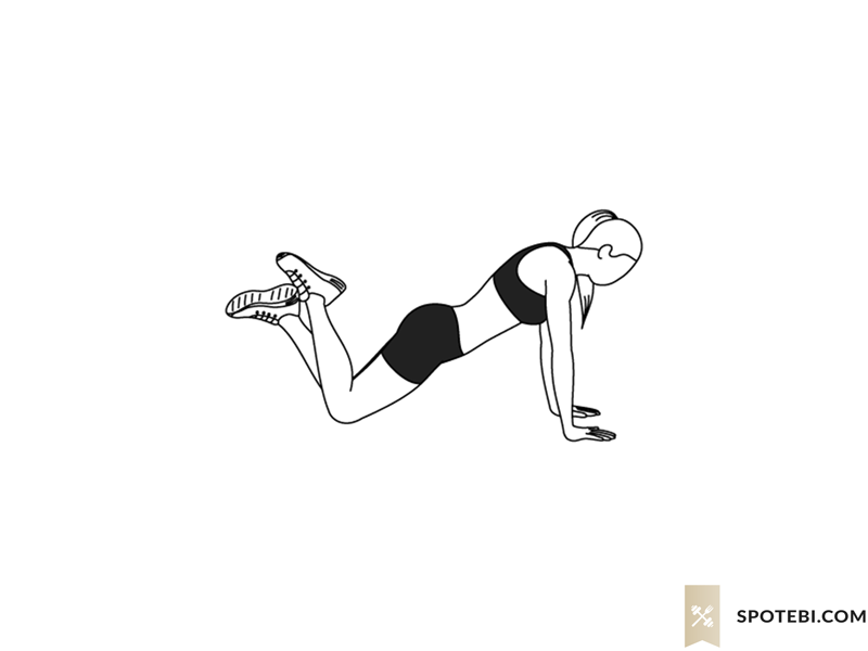 Knee Push Up Illustrated Exercise Guide