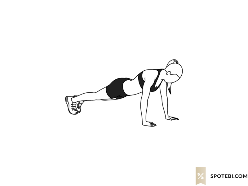 Push Up Illustrated Exercise Guide