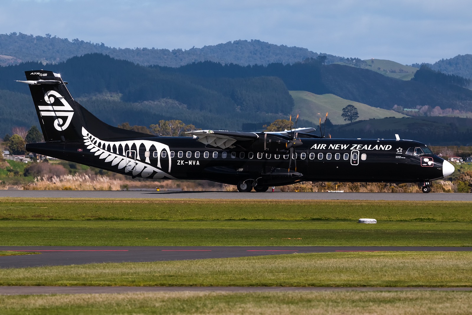 Tauranga Airport Spotting Guide