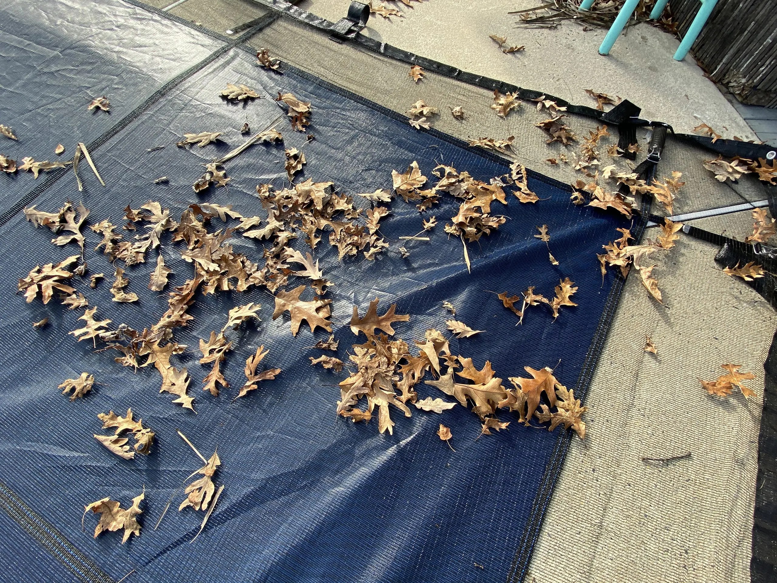 Winter Block Pool Leaf Nets SPQ Brands