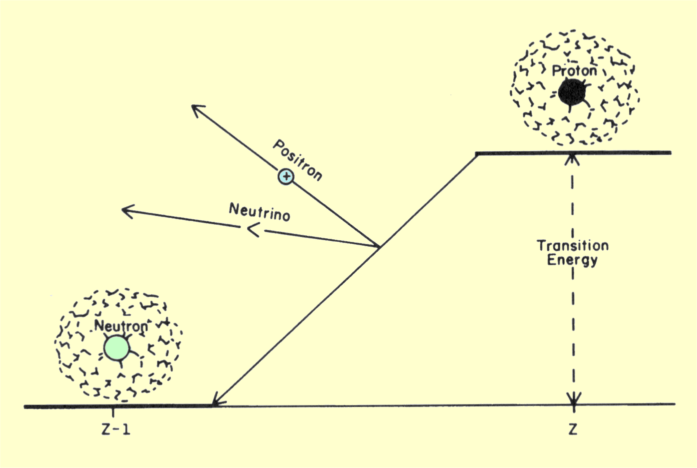 Radioactivity Diagram