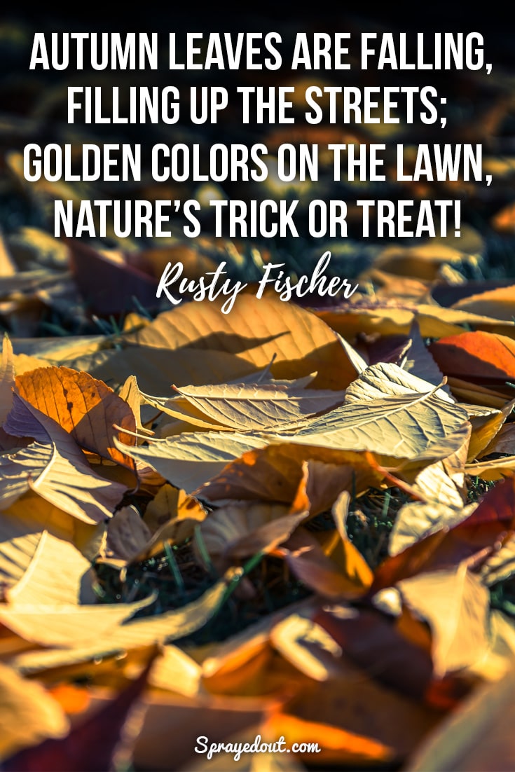 Autumn Quotes & Short Sayings to Make You Fall in Love with Leaves
