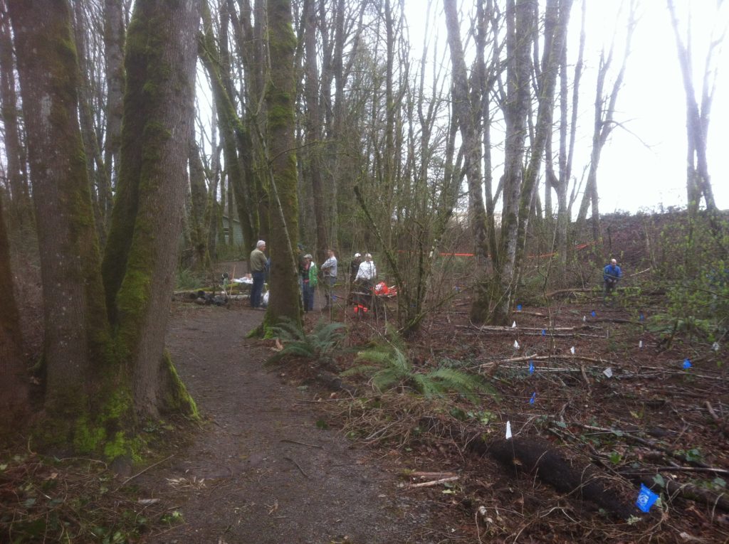 IMG_2840 Friends of Springbrook Park