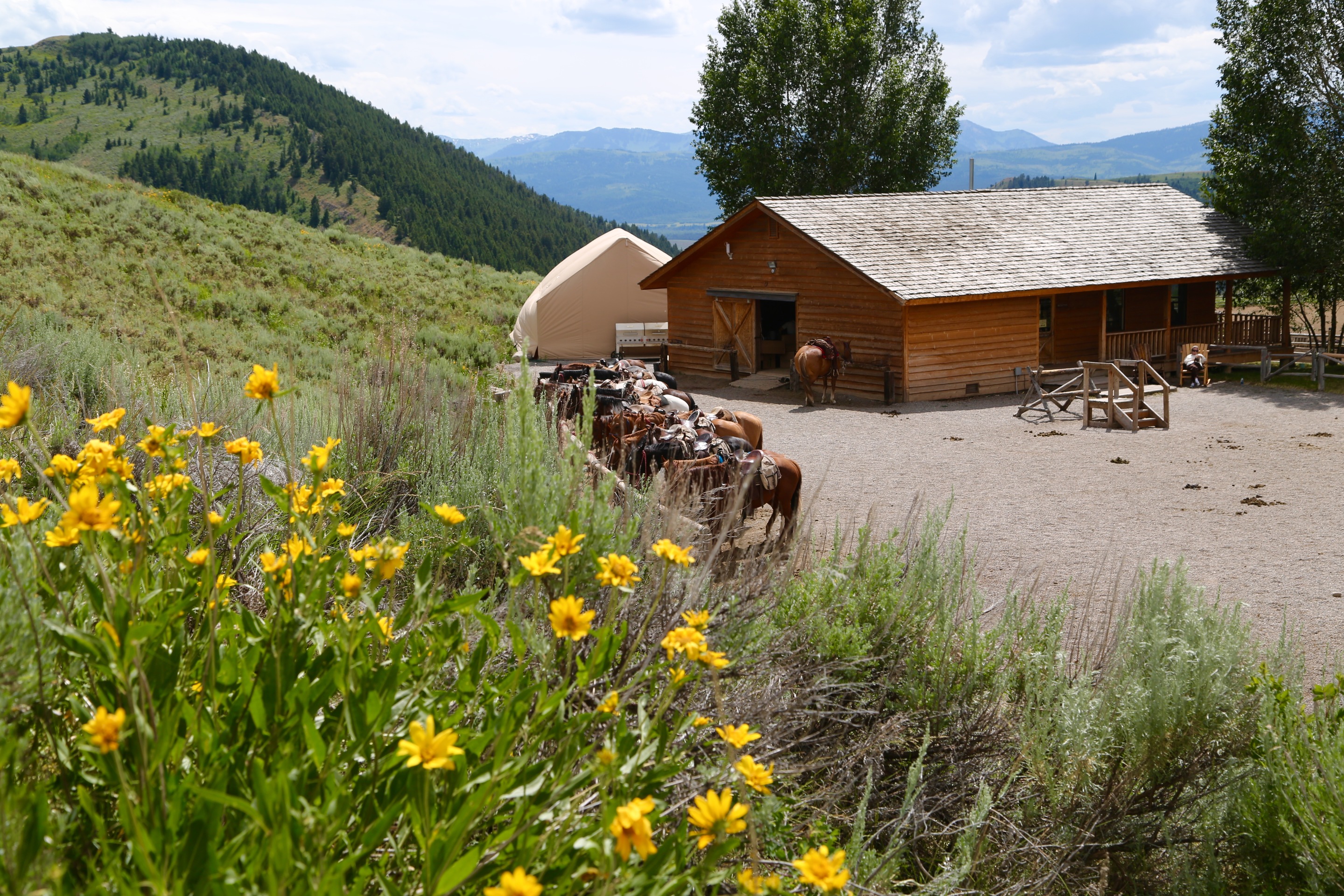 Jackson Hole Lodging Hotel, Rental Homes & Condos Spring Creek