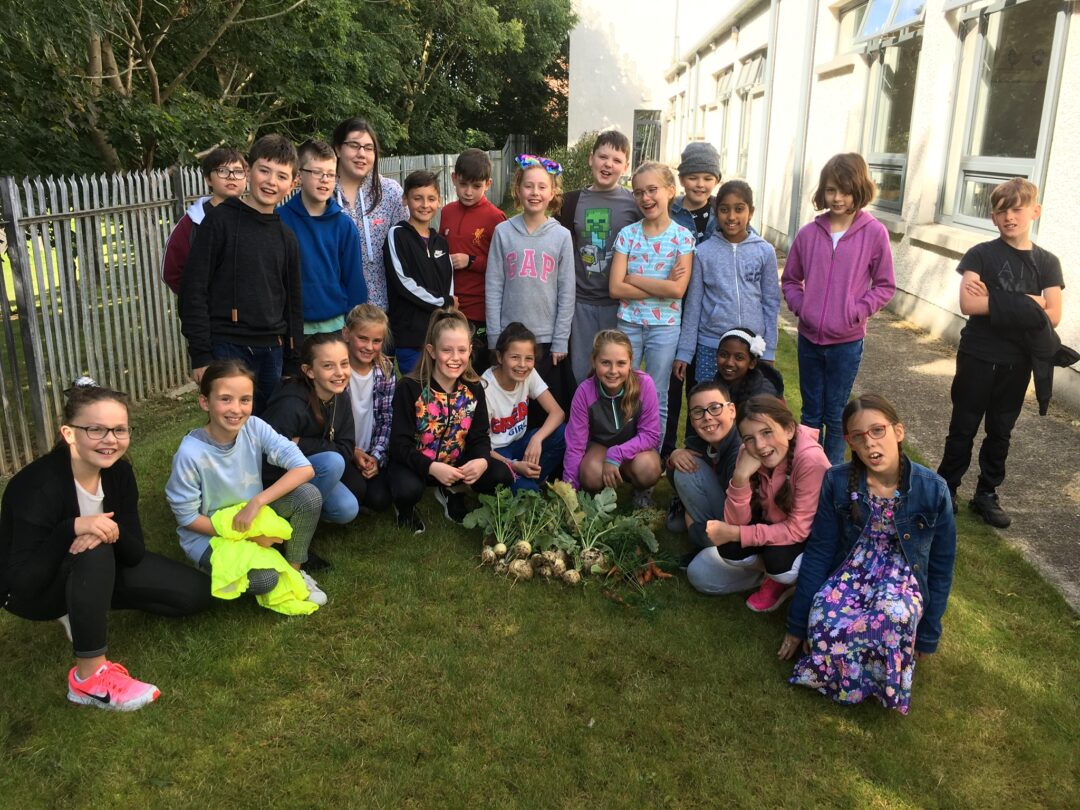  Springdale National School