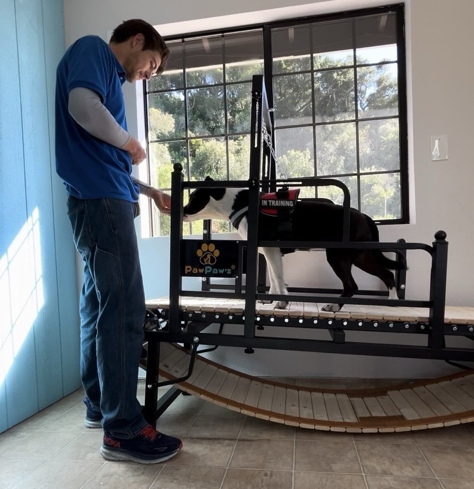 Dog Boarding San Luis Obispo, Oceano, Arroyo Grande, CA