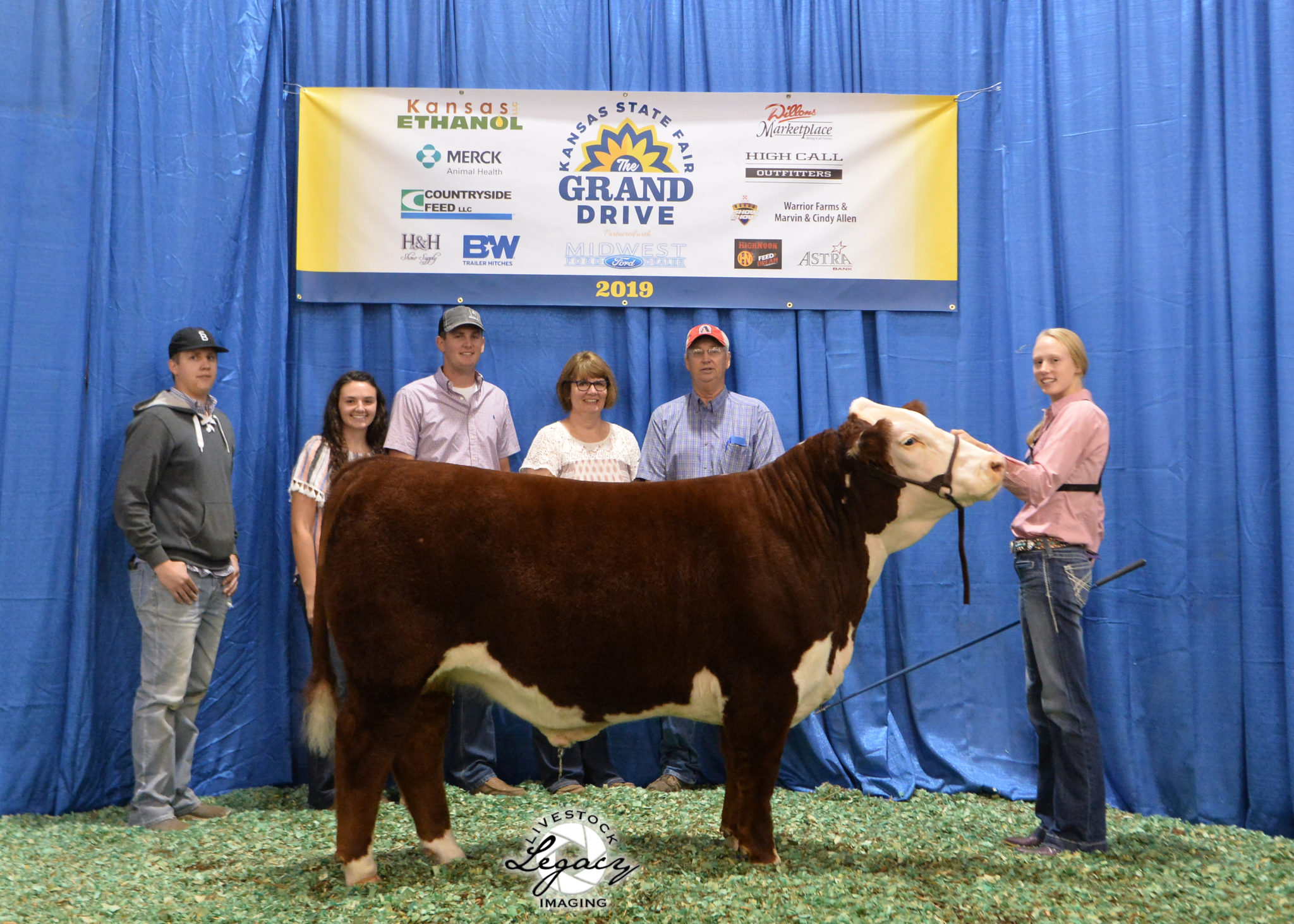 Springhill Herefords