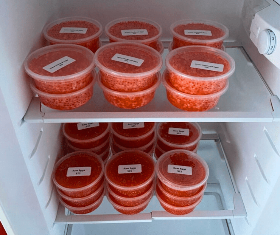 Bait Eggs Rainbow Trout Springhills Fish