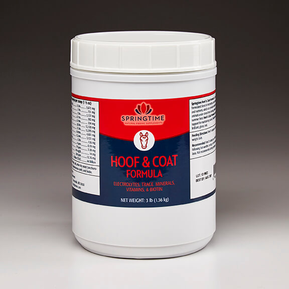 Natural Supplements for Horses