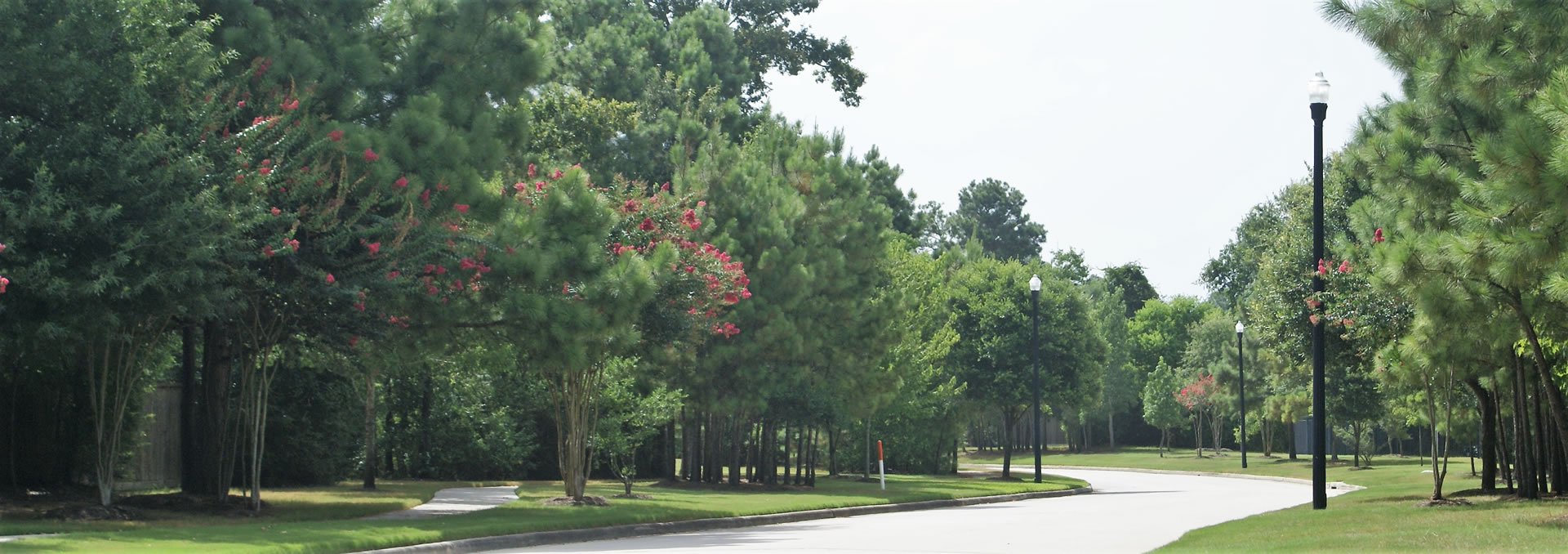 Spring Trails Community Association