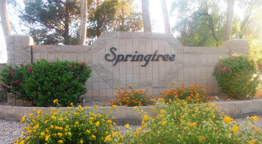 Springtree HOA A Gilbert Arizona Community