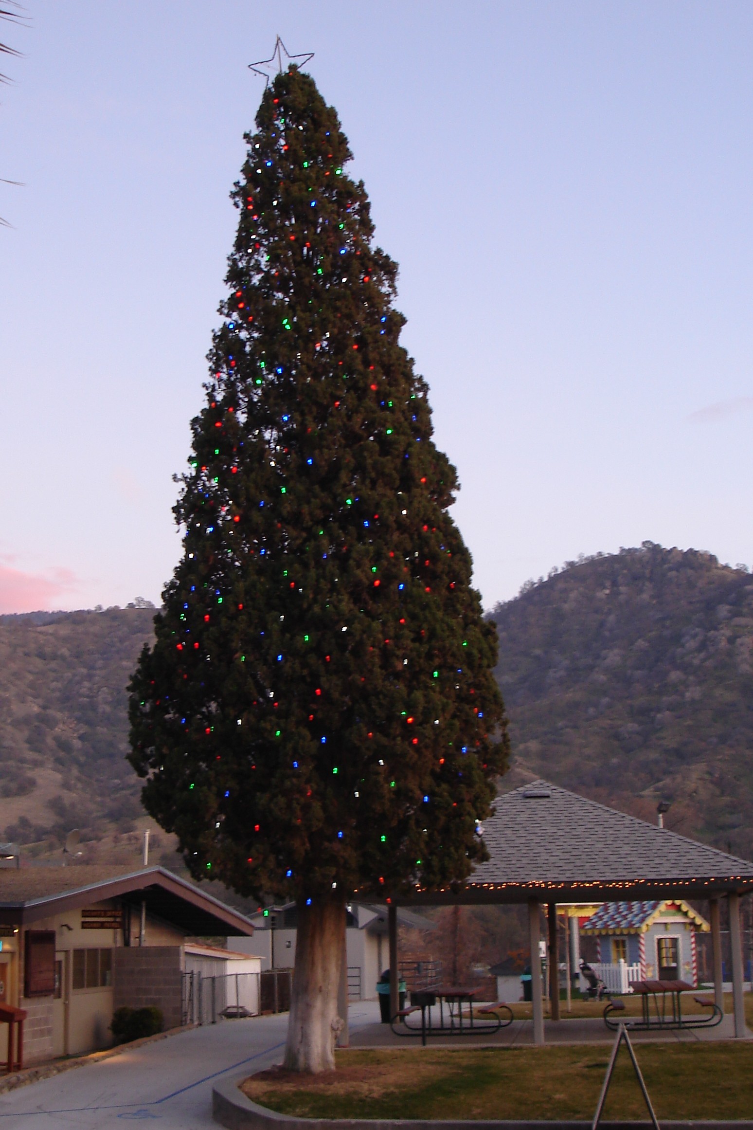 SPRINGVILLE CALIFORNIA ANNUAL EVENTS