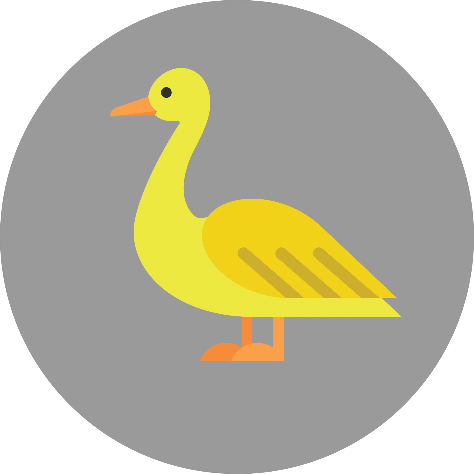 Springwell School Yellow Classes