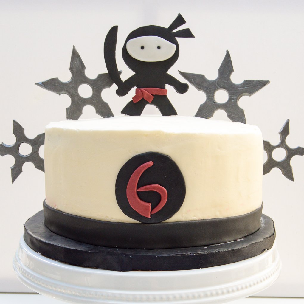 Ninja Birthday Cake Sprinkle of This