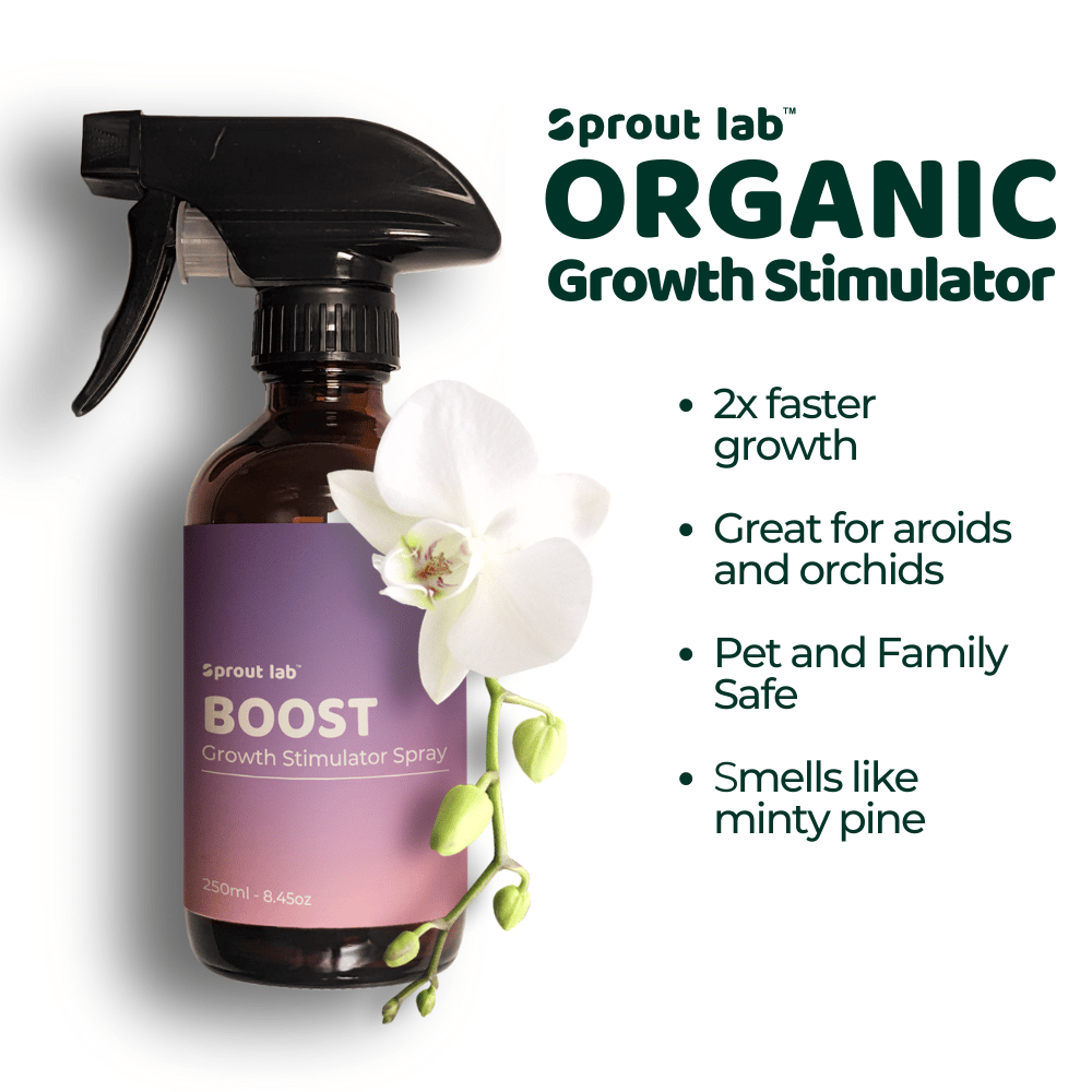 Plant Care Kit - 3 in 1 Gift Set | Hydroponics Gardening