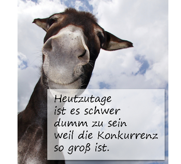 Nette Sprüche Bilder sprüche & zitate