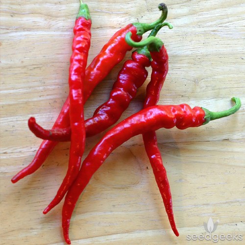 Pepper Cayenne Long Red Thin SPS Idaho Inc.