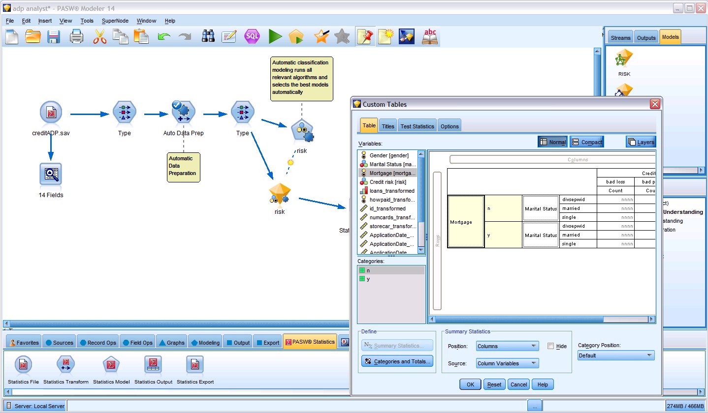 IBM SPSS Modeler Professional Data mining, text mining, predictive