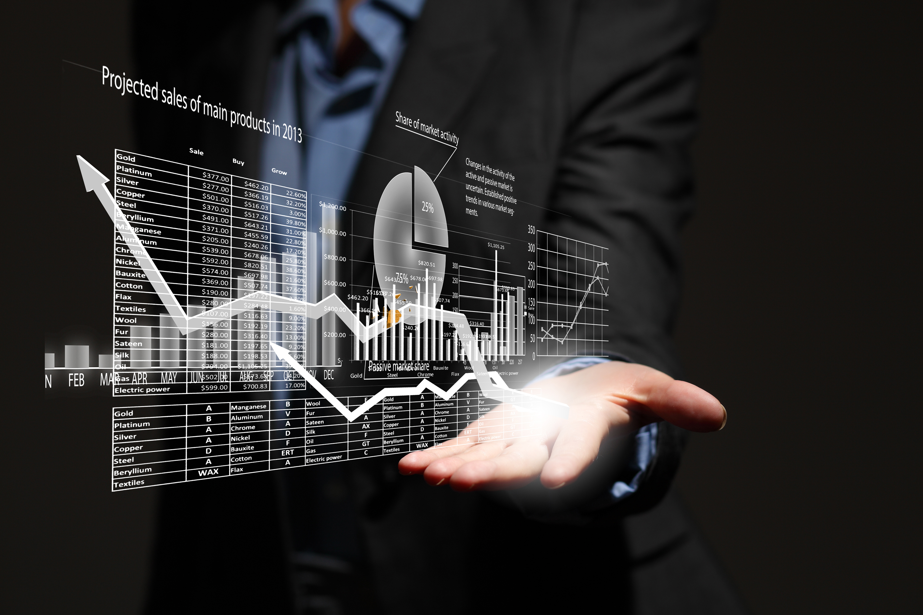 Enterprise Application Software for Financial Regulators
