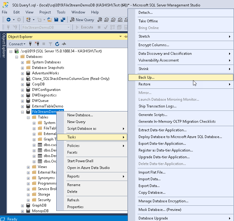 SQL Server FILESTREAM Database backup overview