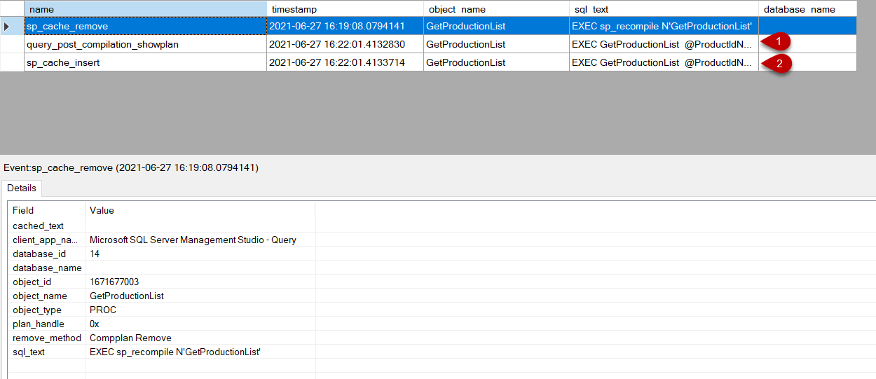 SQL Server Stored Procedure Options