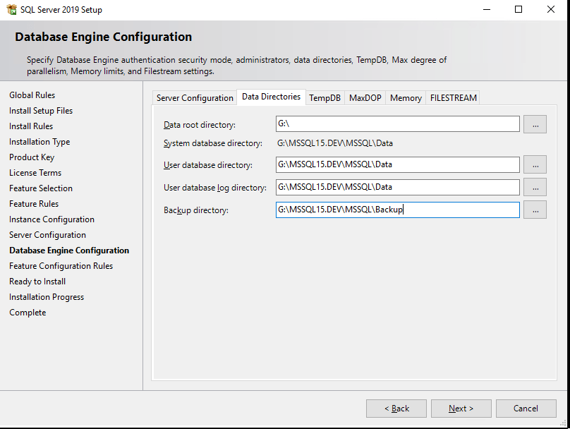 MS SQL Server 2019 Installation Guide basic settings and