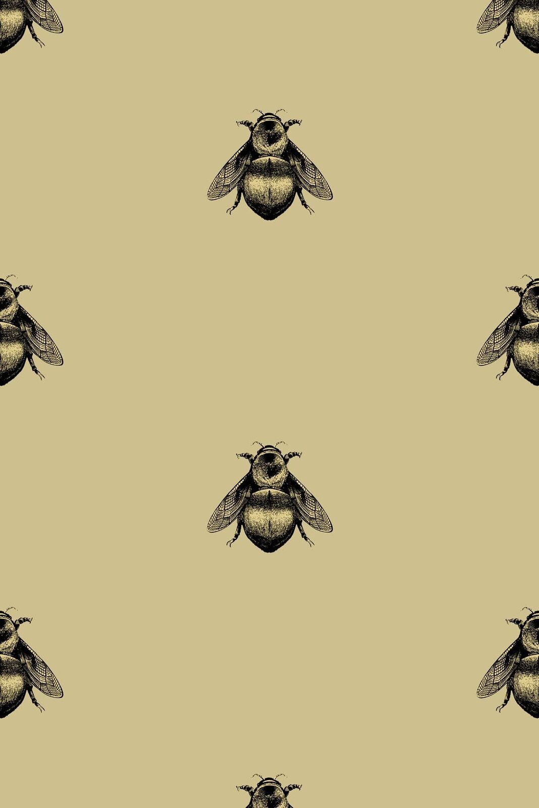 اجمل صور النحل ، خلفيات حشرة النحلة ، 2024 Bee Wallpapers صقور الإبدآع