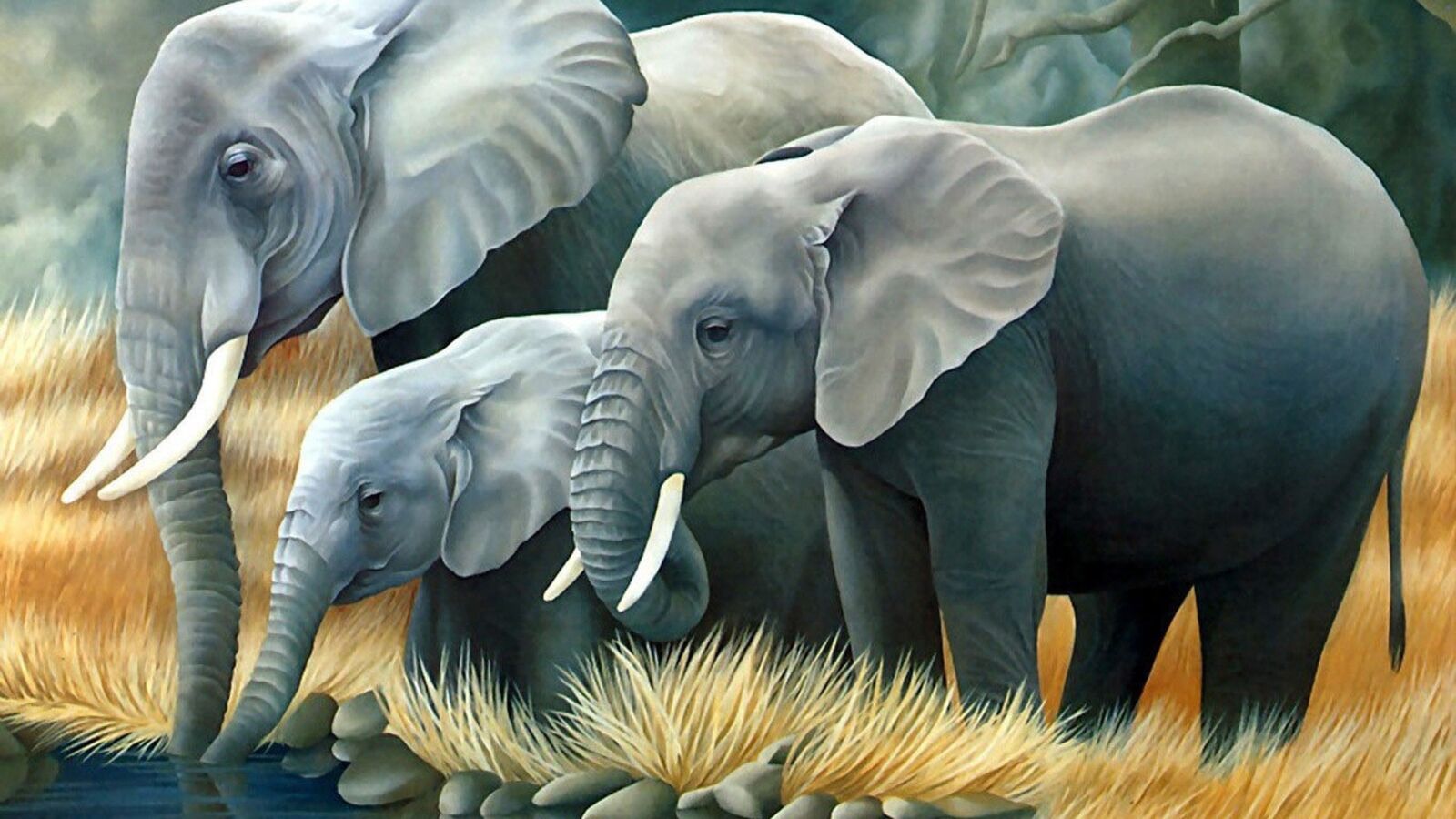 خلفيات فيل عالي الجودة , أفضل صور الفيل , 2024 Elephant Wallpapers