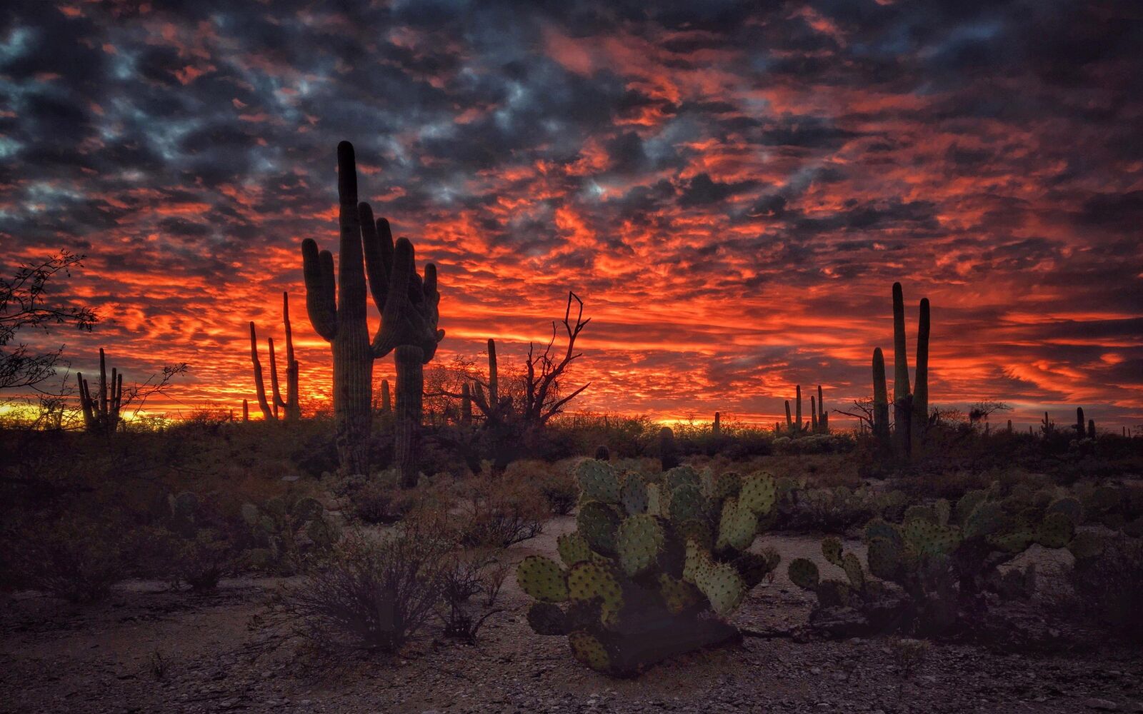 احلى صور الوادي الصحراوي, خلفيات أريزونا خلابة , HD Arizona Desert